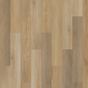 Triple Bock Swatch Thumbnail